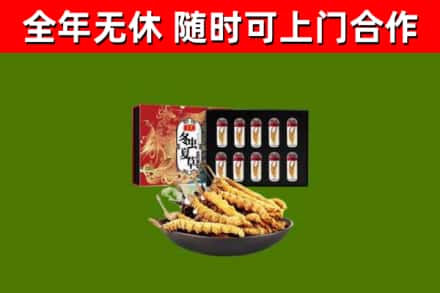 银州回收冬虫夏草价格