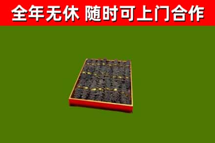 银州回收海参